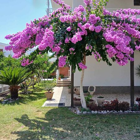 Vila Adriatik Ulcinj Buitenkant foto