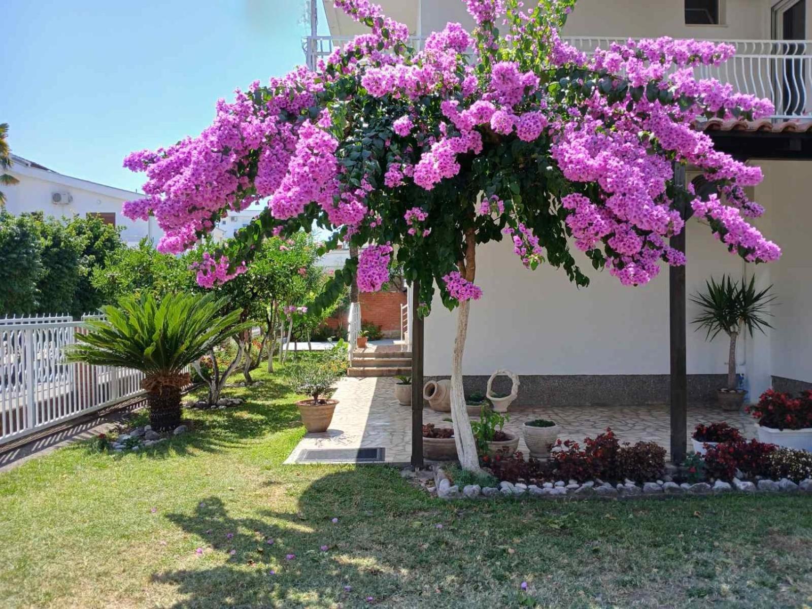 Vila Adriatik Ulcinj Buitenkant foto