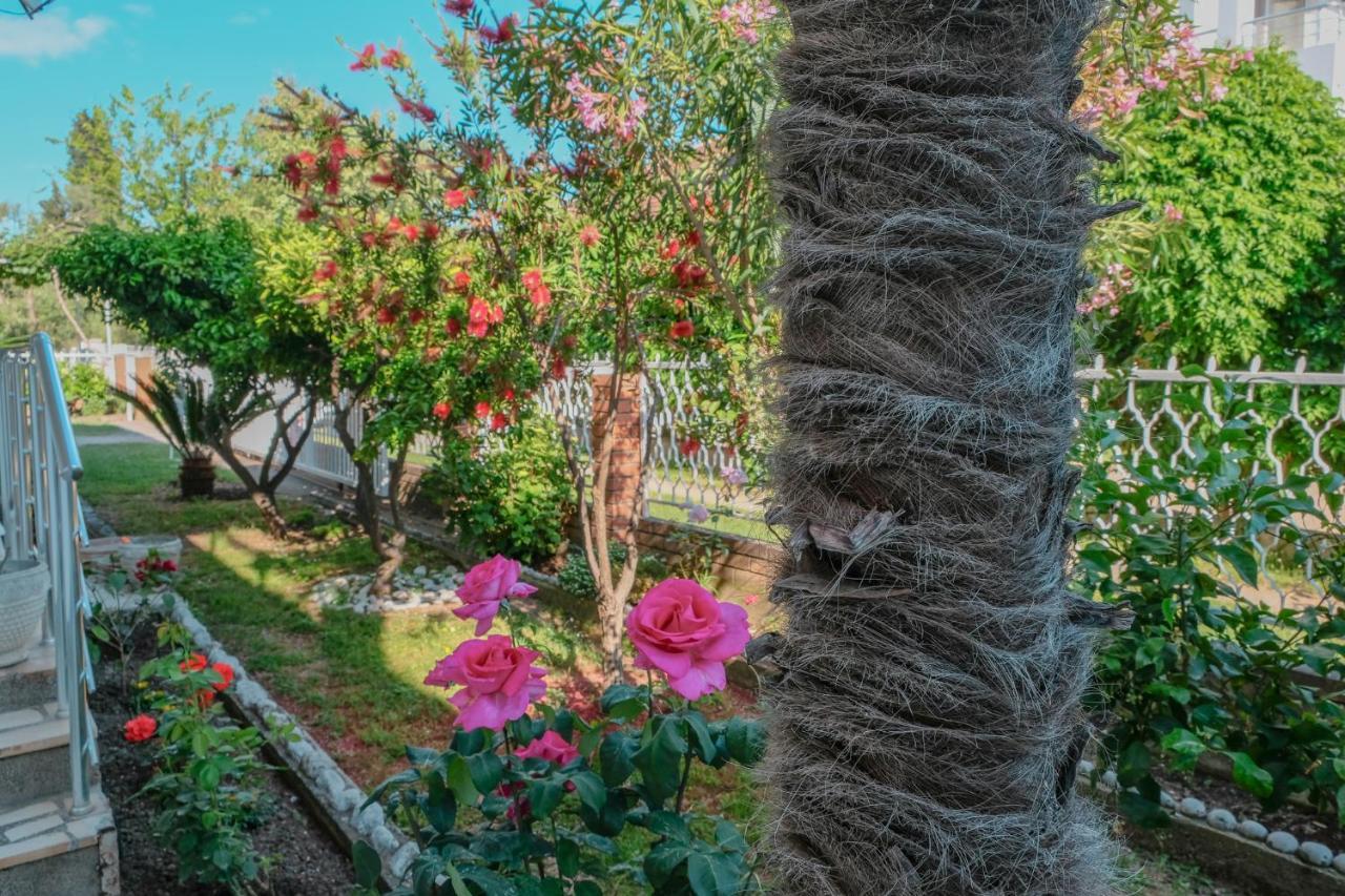 Vila Adriatik Ulcinj Buitenkant foto